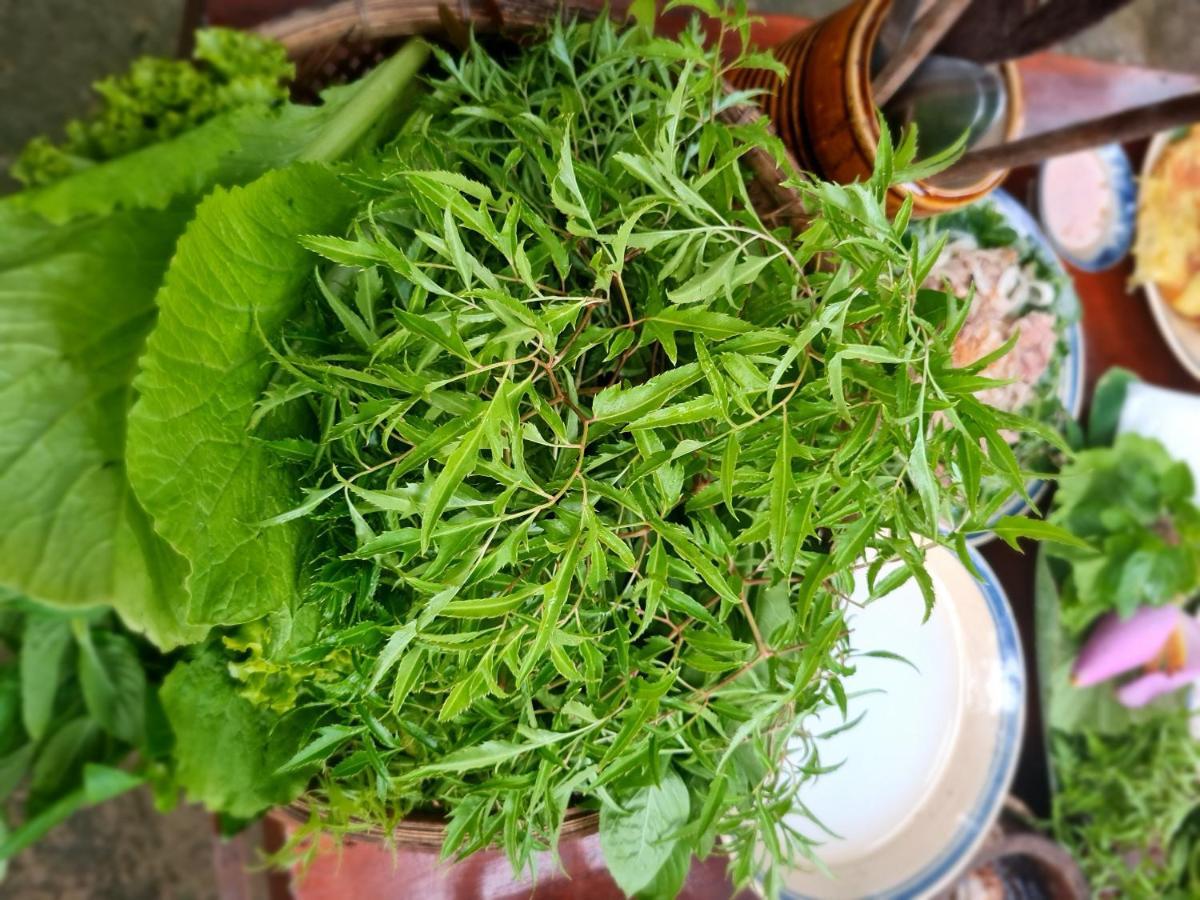 Ba Danh Homestay & Kitchen - Ben Tre Mekong Eksteriør bilde