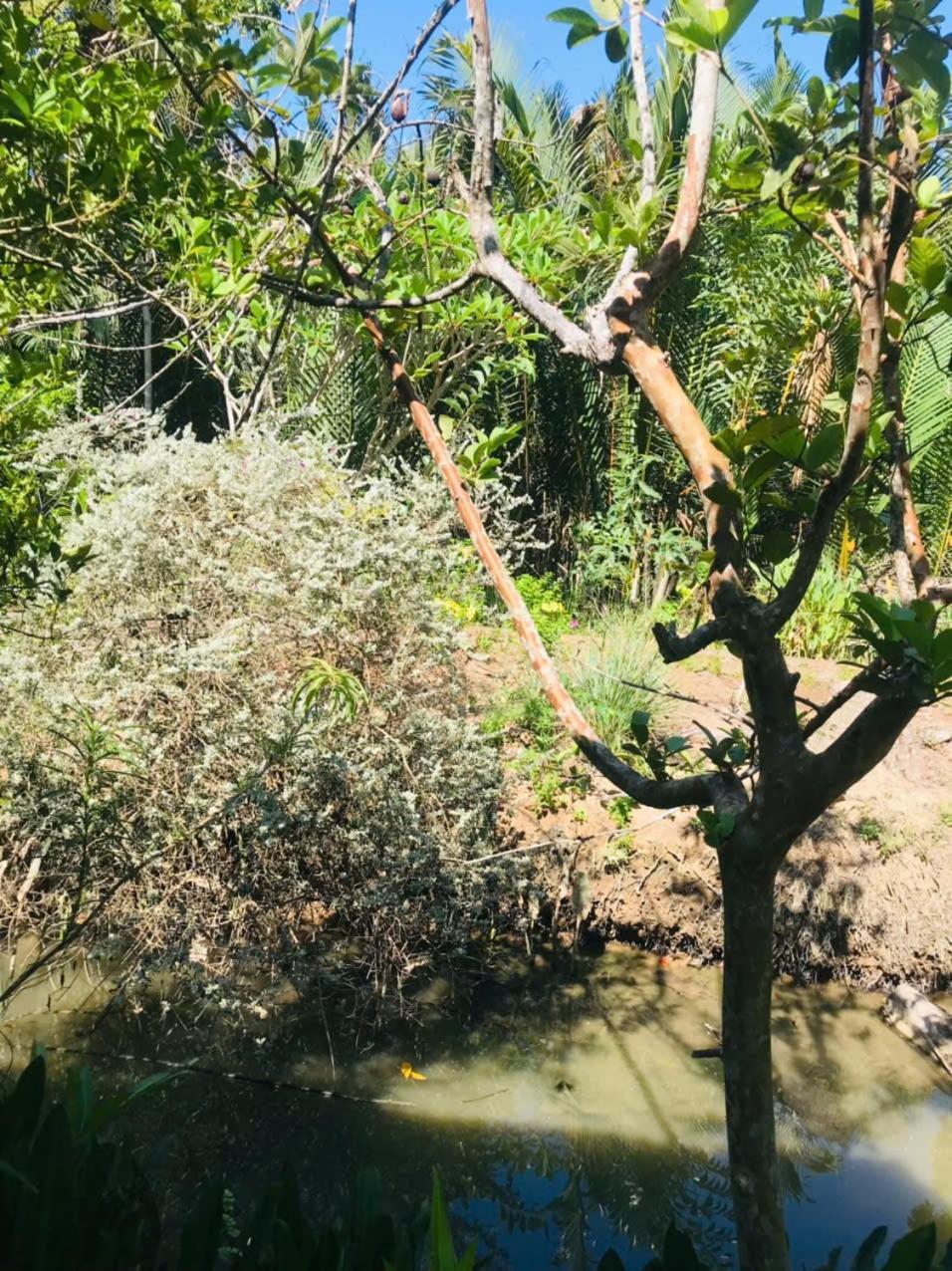 Ba Danh Homestay & Kitchen - Ben Tre Mekong Eksteriør bilde