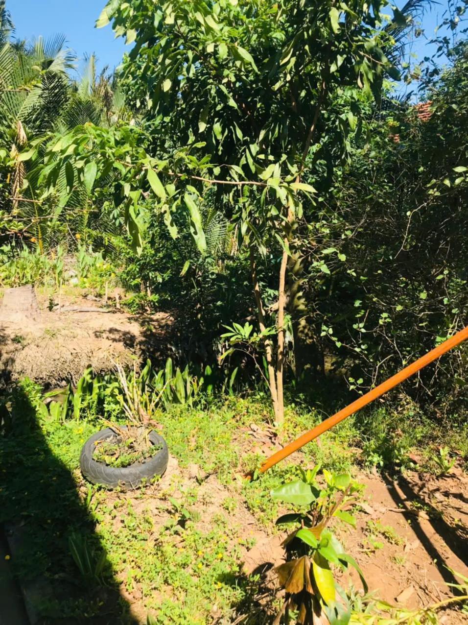 Ba Danh Homestay & Kitchen - Ben Tre Mekong Eksteriør bilde